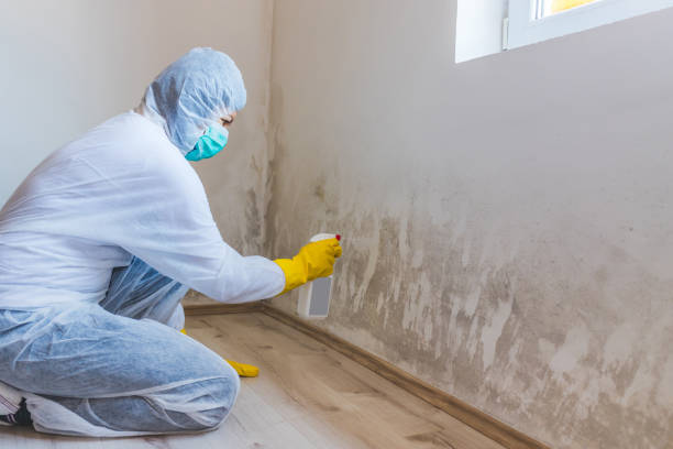 Best Crawl Space Mold Removal  in Mustang Ridge, TX