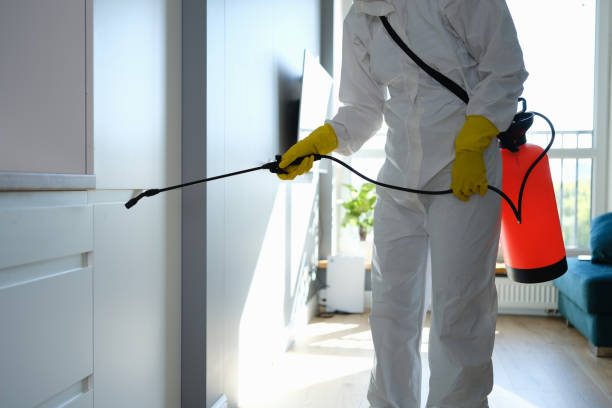 Best Certified Mold Removal  in Mustang Ridge, TX